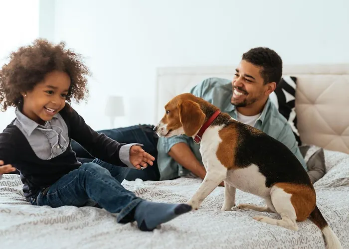 Citadines Antigone 3* Montpellier